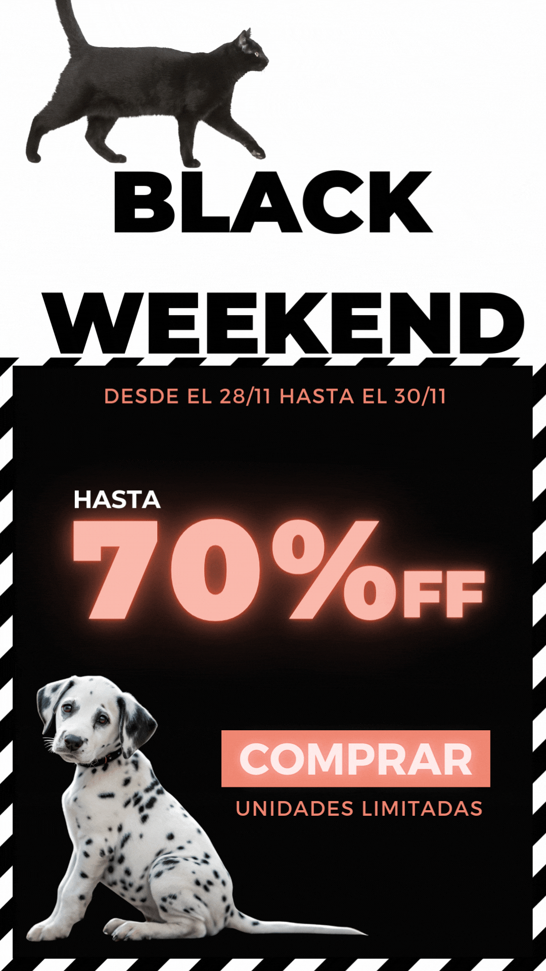 Colección Ropa para Perros y Gatos